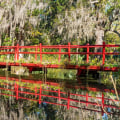 Exploring the Hidden Treasures: Unique and Fashionable Boutiques in Southeastern South Carolina